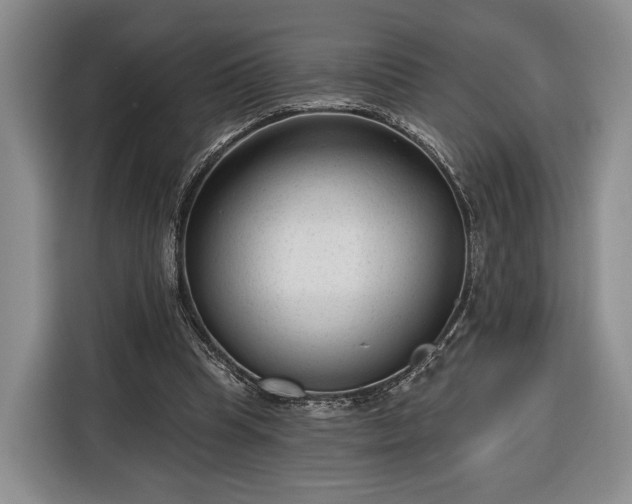 X0000116340345200912091114