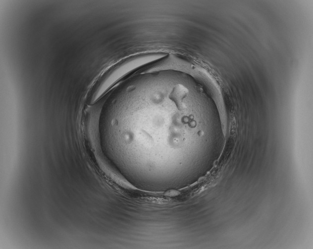 X0000116340347200912091114