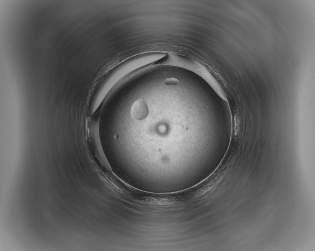 X0000116340349200912091114