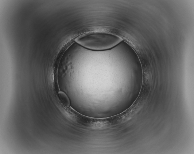 X0000116340350200912091114