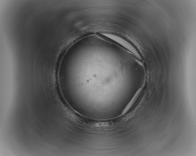 X0000116340353200912091114