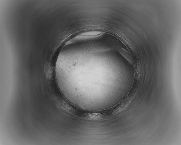 X0000116340355200912091114