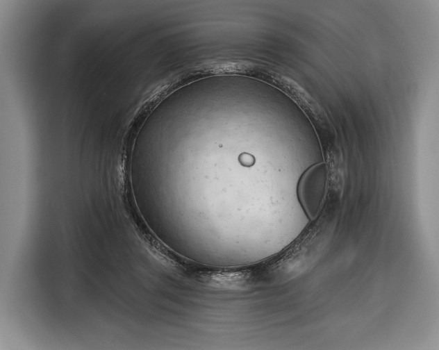 X0000116340357200912091114