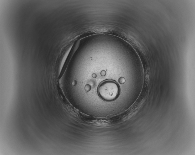 X0000116340359200912091114