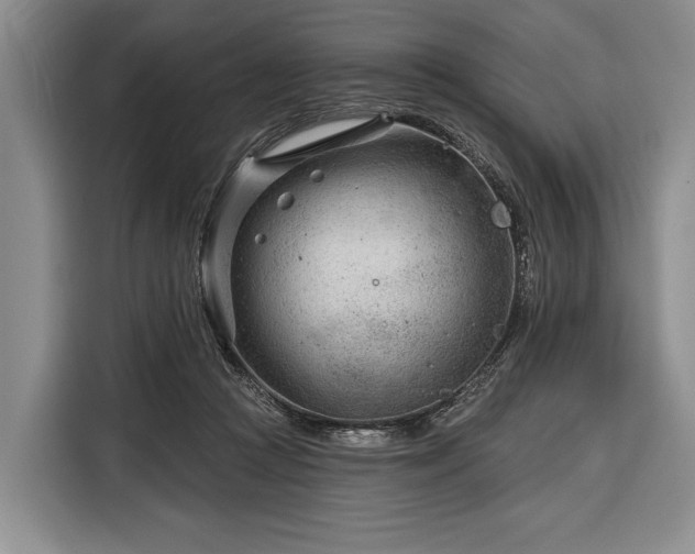 X0000116340361200912091114