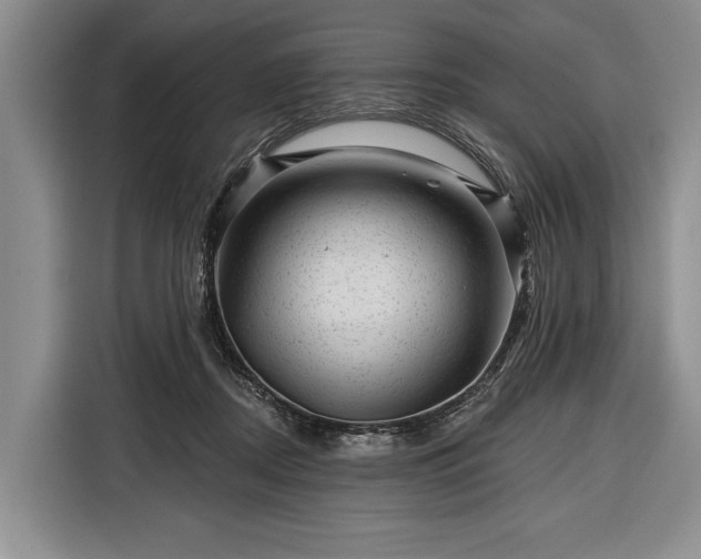 X0000116340362200912091114