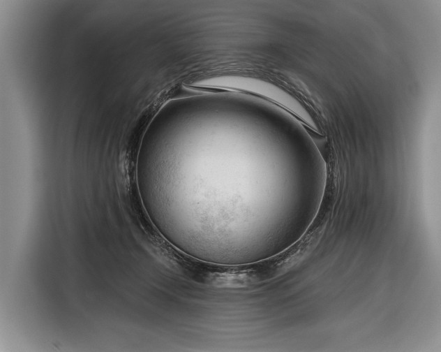 X0000116340366200912091114