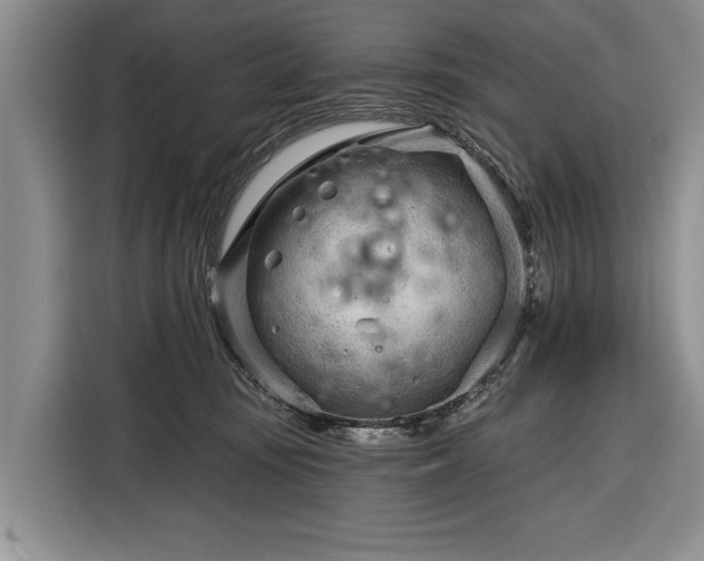 X0000116340371200912091114