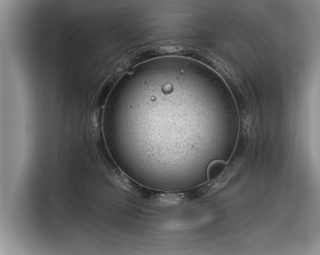 X0000116340373200912091114