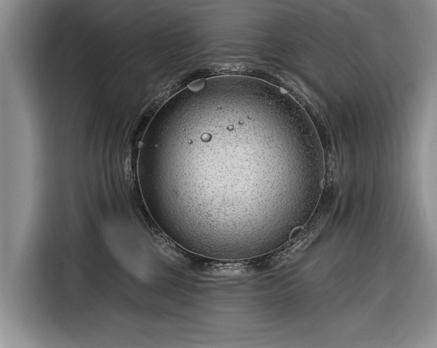 X0000116340377200912091114