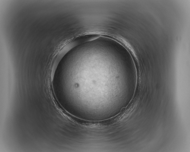 X0000116340385200912091114