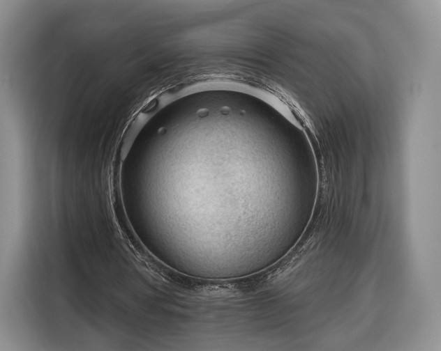 X0000116340386200912091114