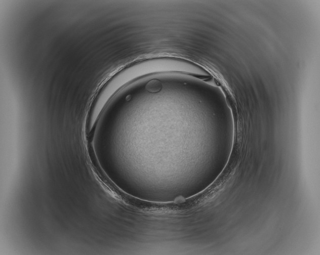 X0000116340389200912091114