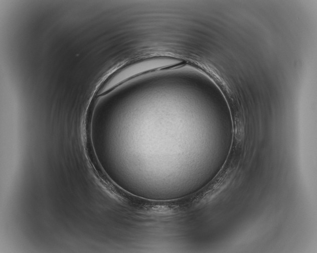 X0000116340390200912091114