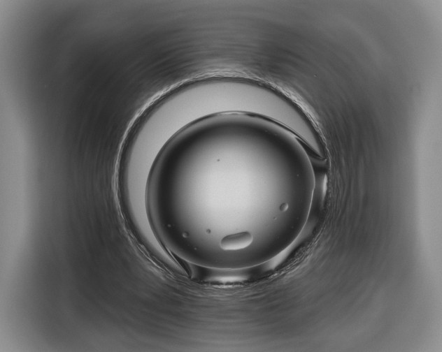 X0000116340391200912091114