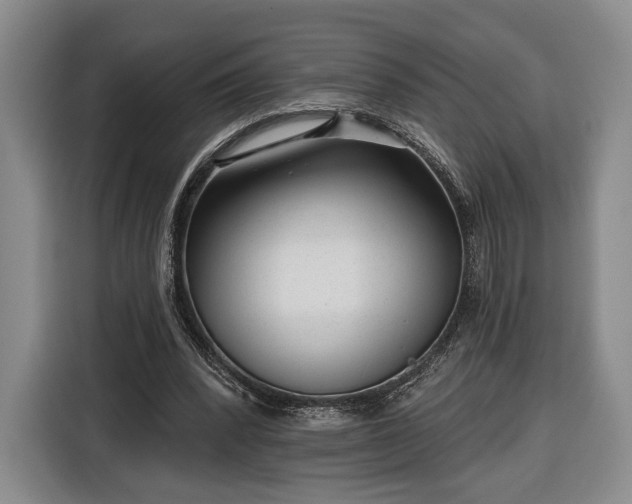 X0000116340392200912091114