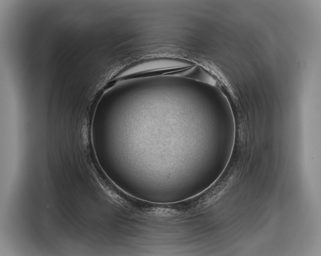 X0000116340393200912091114