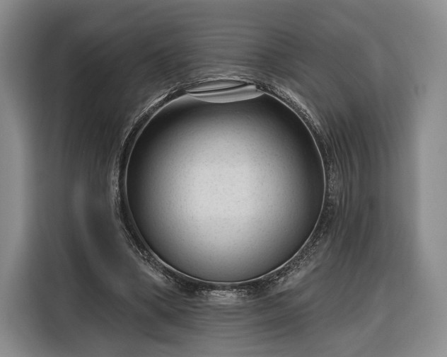 X0000116340394200912091114