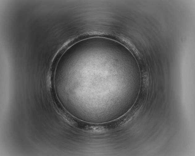 X0000116340395200912091114