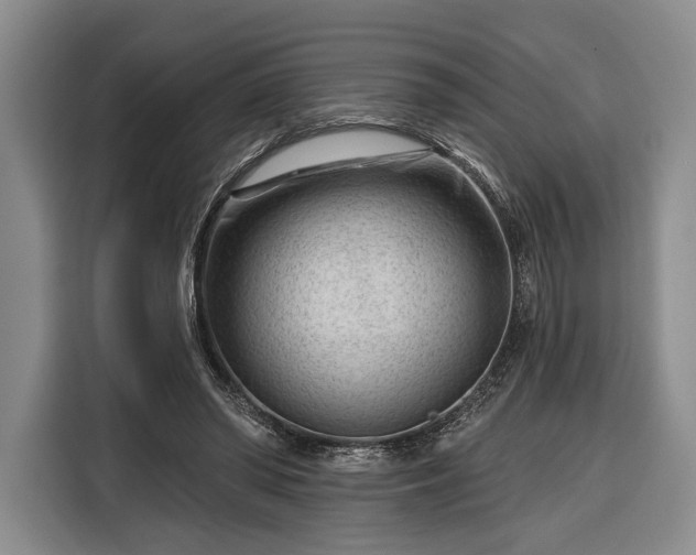 X0000116340398200912091114