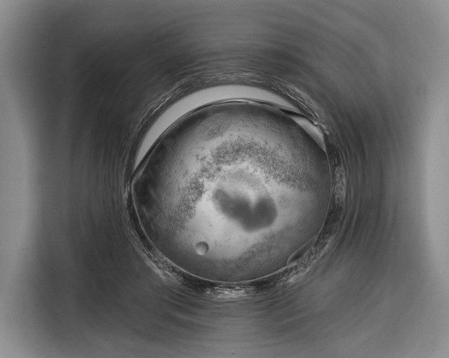 X0000116340405200912091114