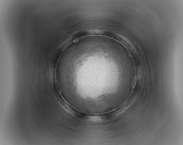 X0000116340409200912091114