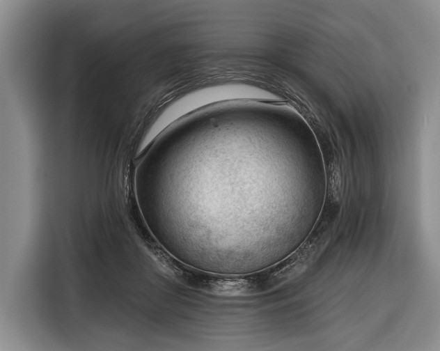 X0000116340410200912091113