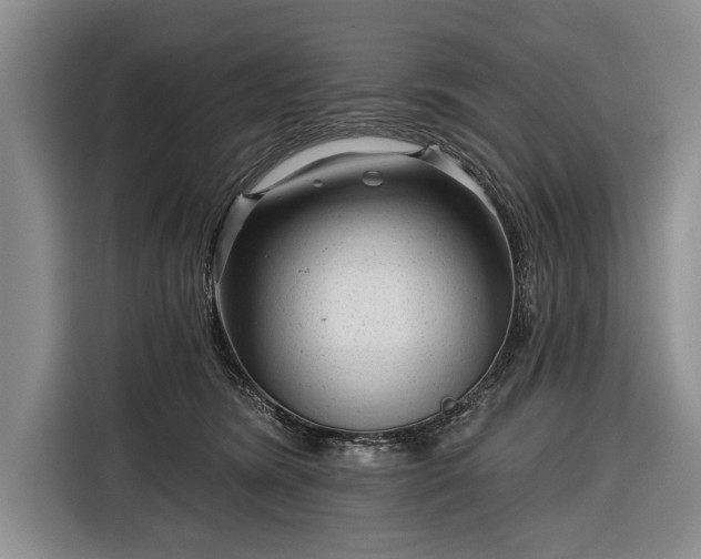 X0000116340420200912091113