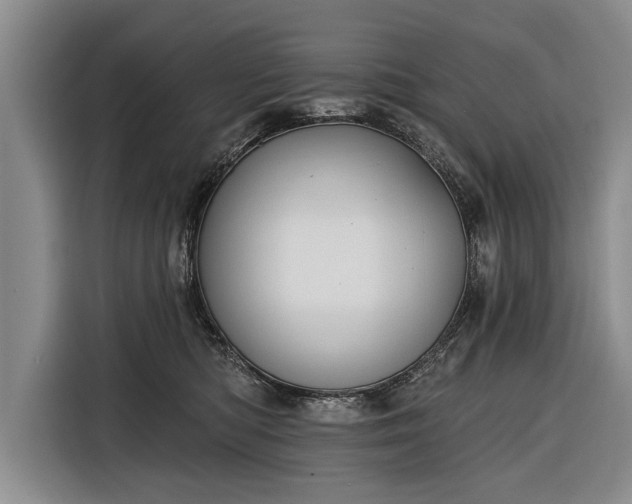 X0000116340422200912091113