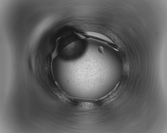 X0000116340429200912091113