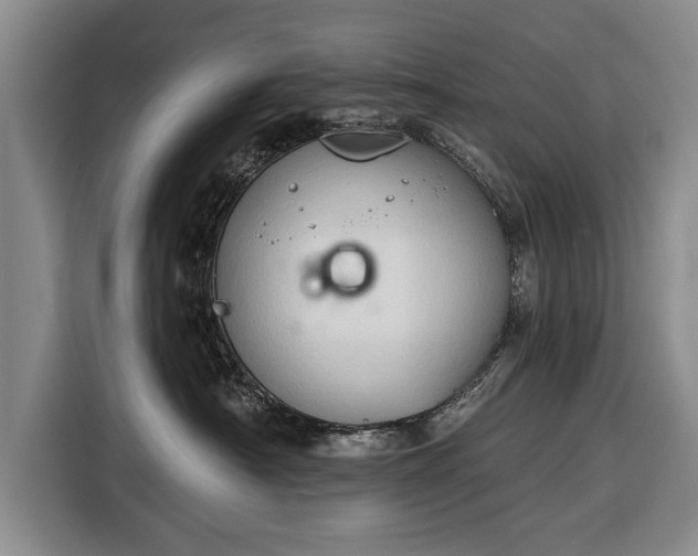 X0000116340430200912091113