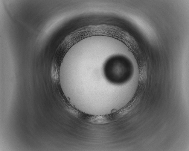 X0000116340431200912091113