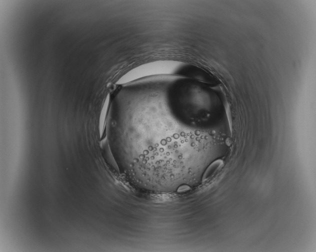 X0000116340432200912091113