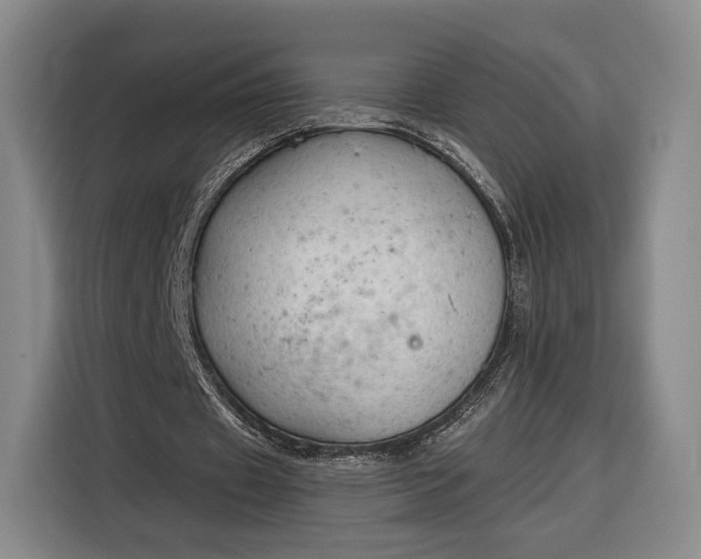 X0000116340433200912091113