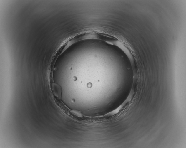 X0000116340434200912091113