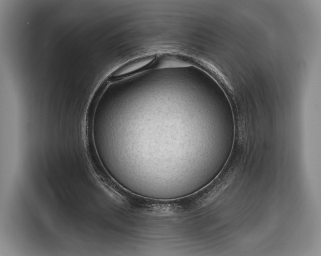 X0000116340439200912091113