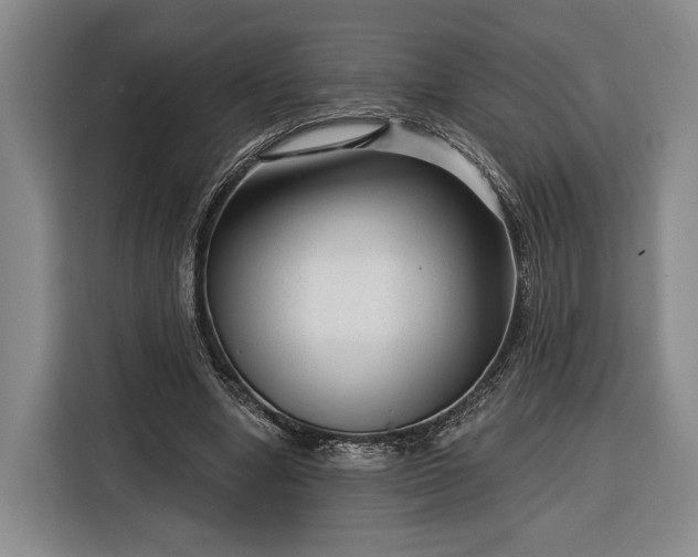 X0000116340442200912091113