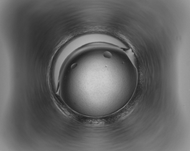 X0000116340443200912091113