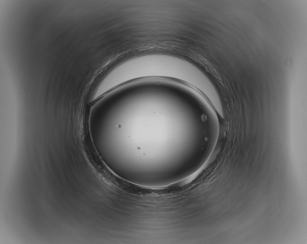 X0000116340444200912091113