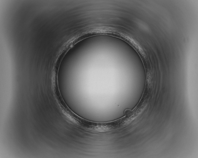 X0000116340445200912091113