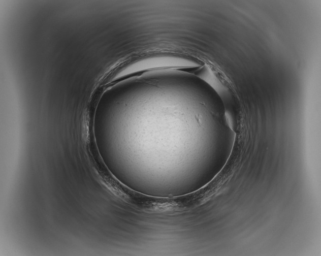 X0000116340446200912091113