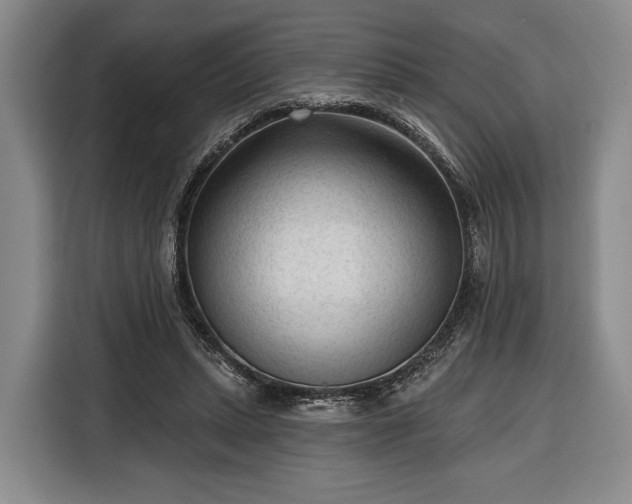 X0000116340447200912091113