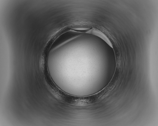 X0000116340448200912091113