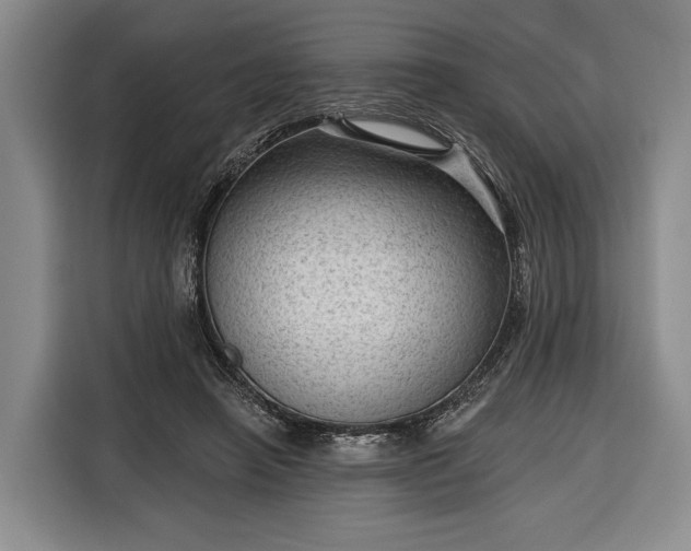 X0000116340450200912091113