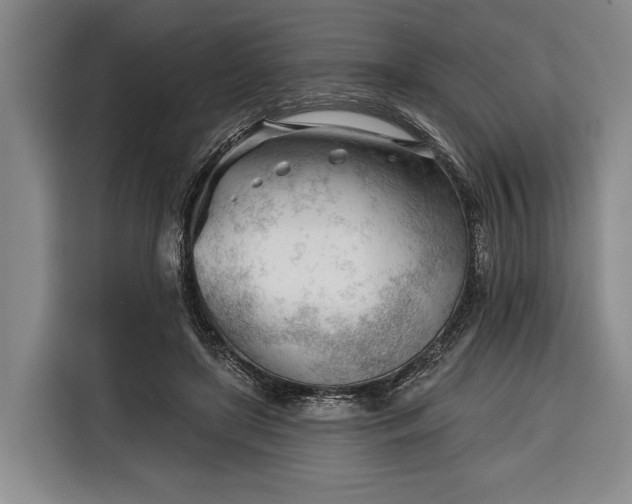 X0000116340451200912091113