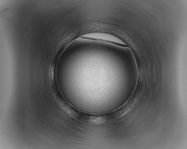 X0000116340454200912091113