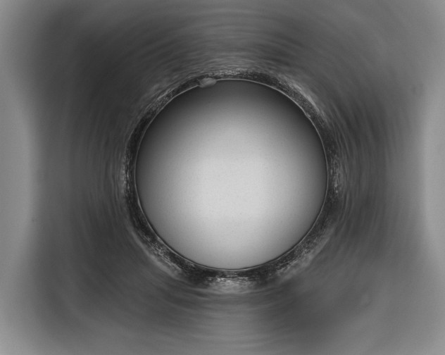 X0000116340455200912091113