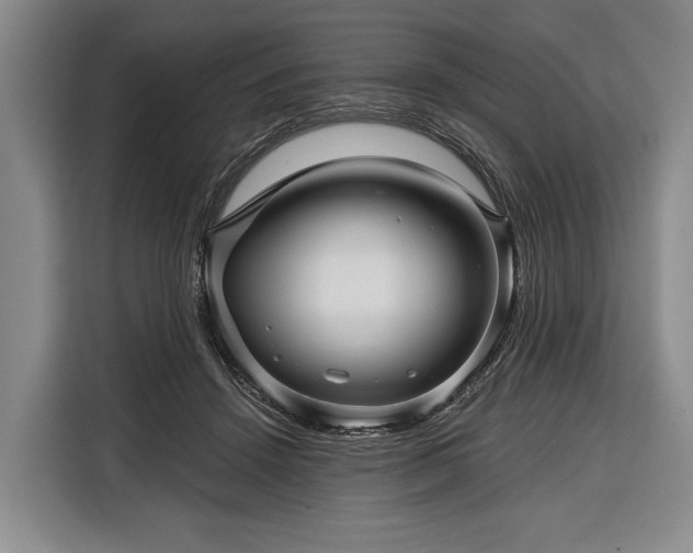 X0000116340456200912091113