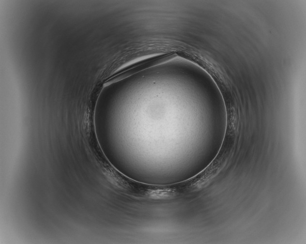 X0000116340461200912091113