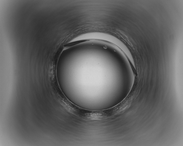 X0000116340462200912091113